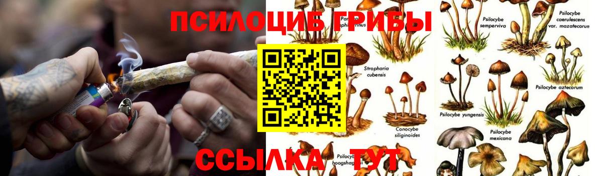 Псилоцибиновые грибы Magic Shrooms  Вход с VPN  Котельники 